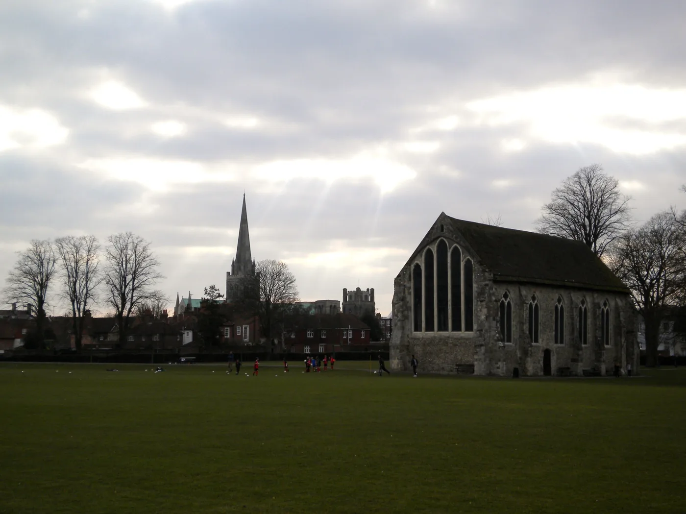Chichester Dog Rules: Priory Park Ban Stays to 2029